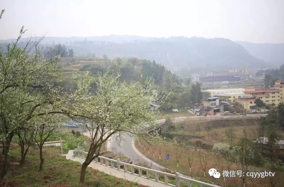 撸起袖子加油干,为将盘龙建成休闲健康产业示范区,为将云阳建成城乡