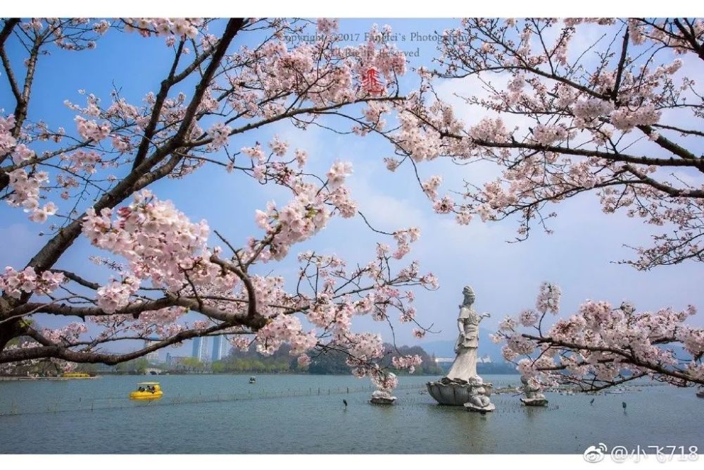 南京春季最全赏花地图!