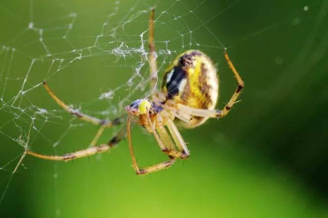什么叫打破局限去赚钱!不发财也难!