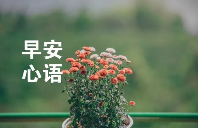 周四早安心语励志正能量 早安心语图片大全