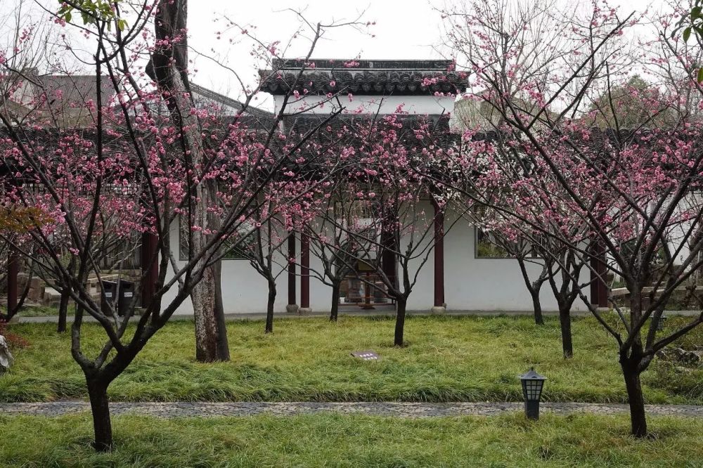 园内建筑疏朗,槛曲廊回, 水木明瑟,庭宇清旷.