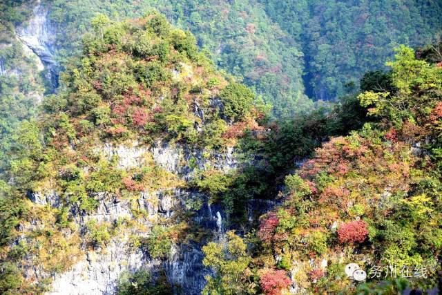 景点九:红叶峡谷