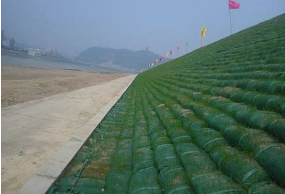 【生态护坡形式】 生态护坡形式多种多样,主要包括植物护坡,土工合成