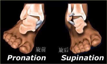 用最简单的方式学习足踝关节的运动损伤和康复训练用最简单的方式学习足踝关节的运动损伤和康复训练用最简单的方式学习足踝关节的运动损伤和康复训练用最简单的方式学习足踝关节的运动损伤和康复训练 逸琪生活汇