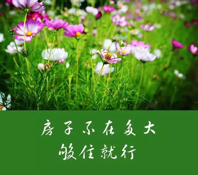 屋宽,不如心宽;身安,不如心安