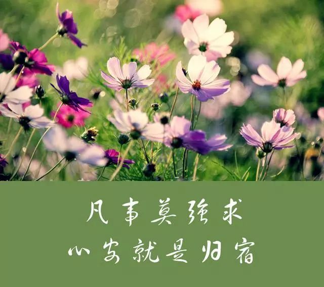 屋宽,不如心宽;身安,不如心安