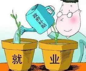 第七次人口普查两员补助的意义_第七次人口普查图片