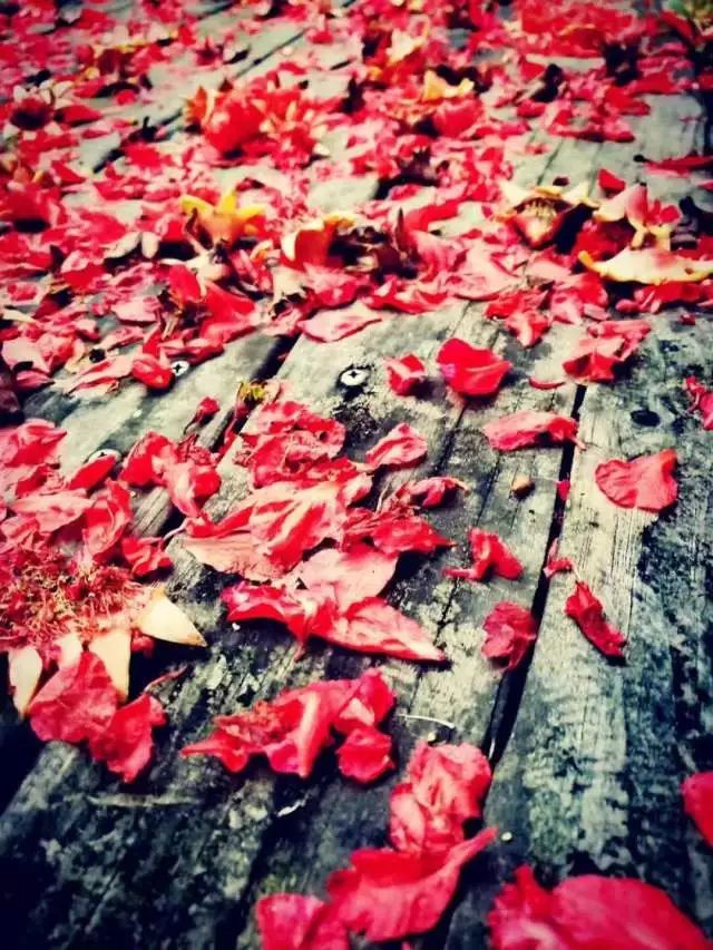 最近,日照地税这个小姐姐火了!