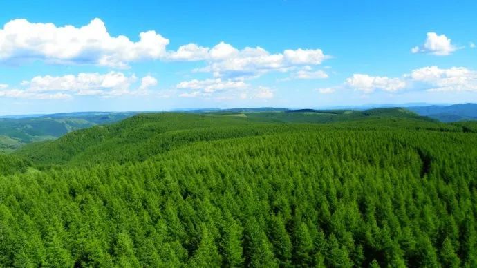 坝建设者荣获中央电视台感动中国2017年度团