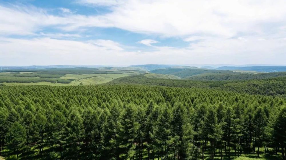 坝建设者荣获中央电视台感动中国2017年度团