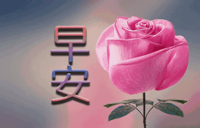 最美早安问候语带鲜花表情包 最新早上好祝福动态图片