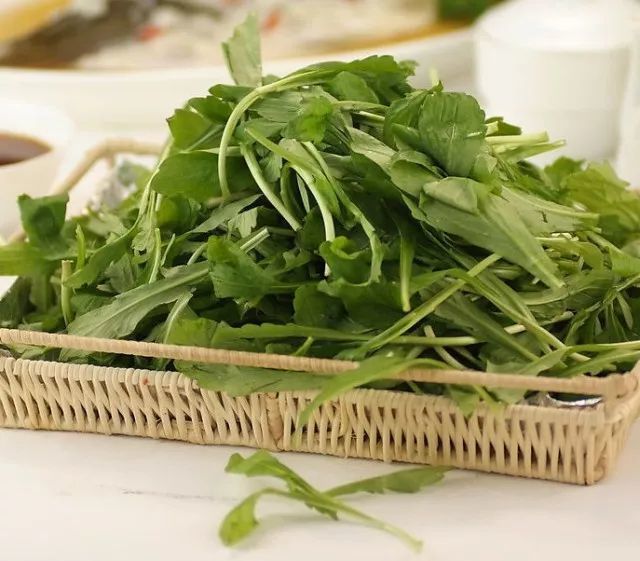 阳春三月野菜香 品尝春天的味道 春天的味道舞蹈视频 春天能吃的野菜图片 浩然生活网