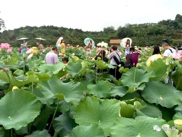 璧山这些高大上农家乐!总有一个让你想出发!