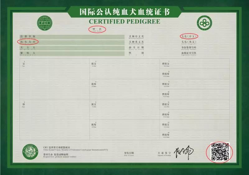 血统书与隐性遗传规律 伴x隐性遗传的特点 X染色体隐性遗传 常染色体隐性遗传规律 俊如海洋汇生活