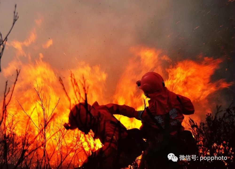 凉山森林消防员的自白:双腿颤抖仍往前走!