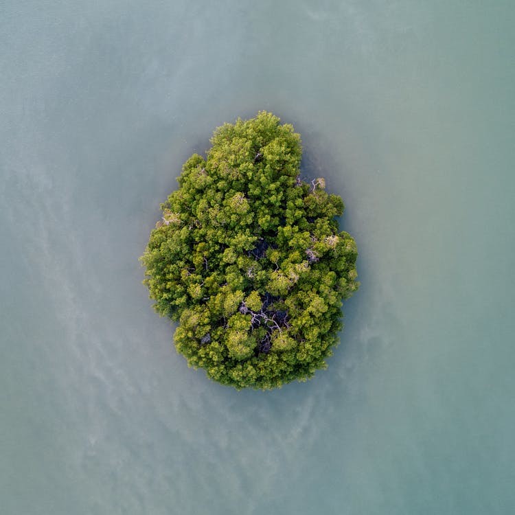 佩妮桑顿3月26日至4月1日星座运势提醒 看点快报