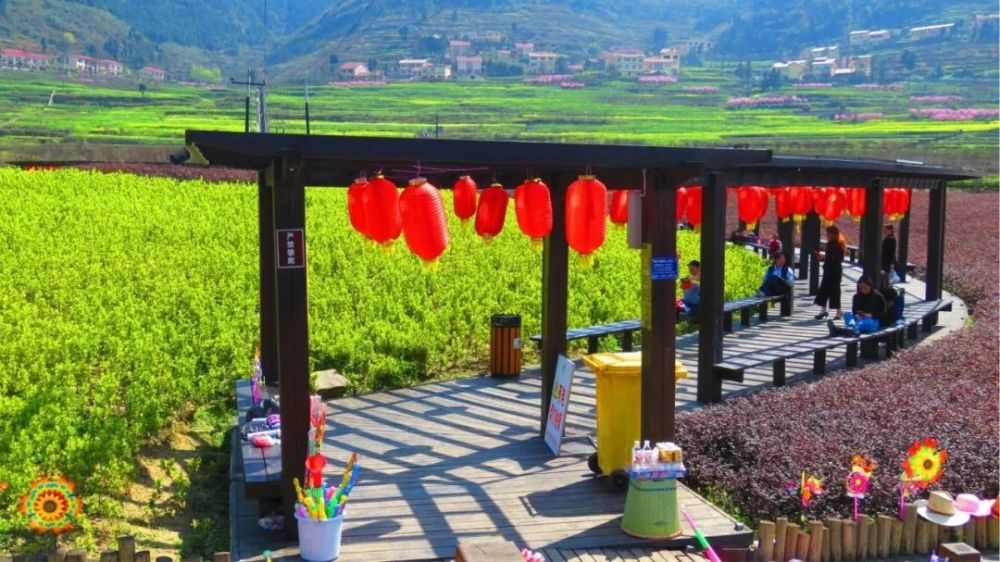 坛厂神采八卦园的油菜花,海棠花,桃花……已经盛开,又