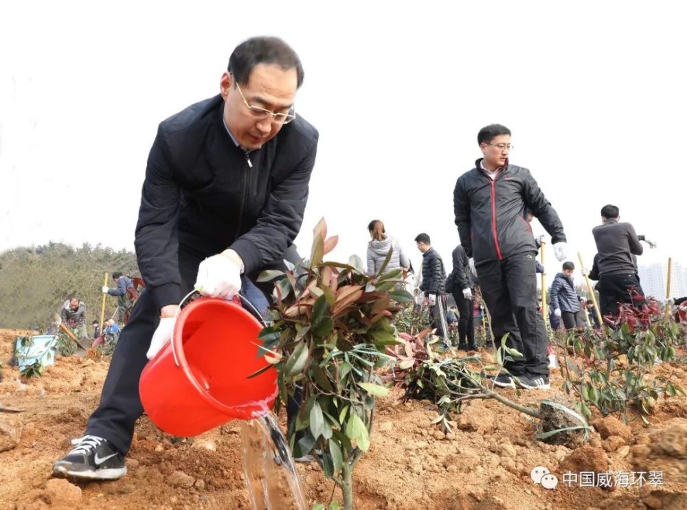 秀木成林绿满眼,多彩环翠美如画!