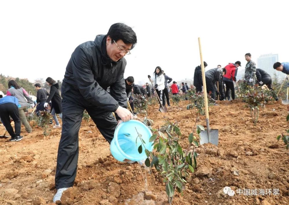 秀木成林绿满眼,多彩环翠美如画!