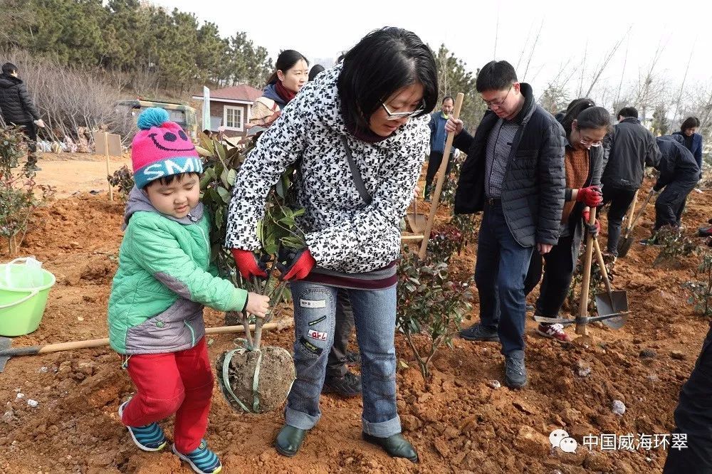 秀木成林绿满眼,多彩环翠美如画!
