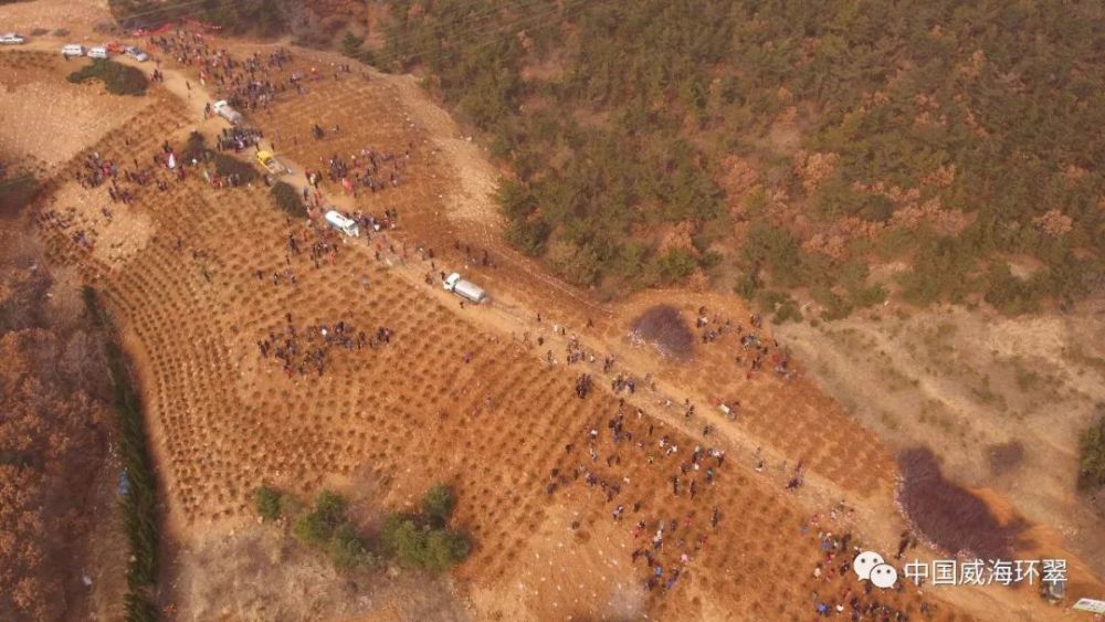 秀木成林绿满眼,多彩环翠美如画!