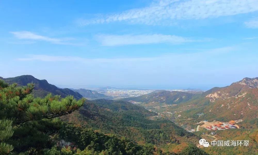 秀木成林绿满眼,多彩环翠美如画!