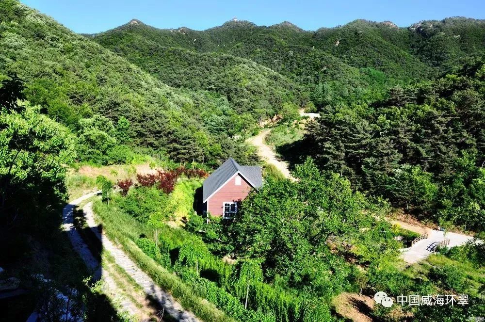 秀木成林绿满眼,多彩环翠美如画!