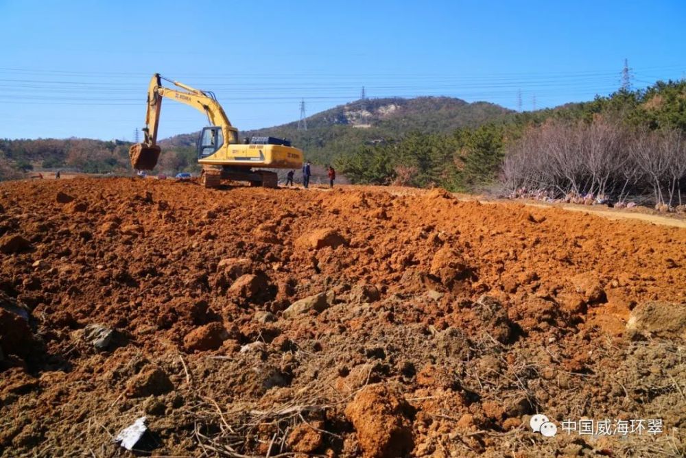 秀木成林绿满眼,多彩环翠美如画!