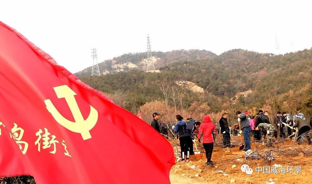 秀木成林绿满眼,多彩环翠美如画!