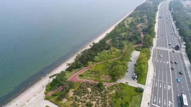 秀木成林绿满眼,多彩环翠美如画!