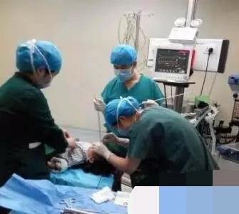 5岁男孩哭着说"蛋蛋"疼,老师带医院检查后,瞒着家长报