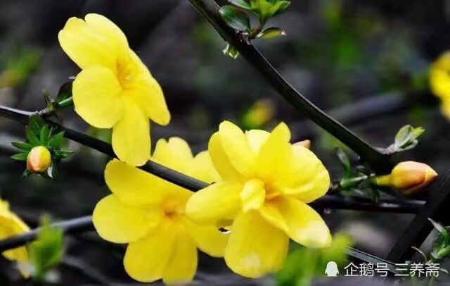 无论什么时候,学习都有好处--师旷论学带给我们