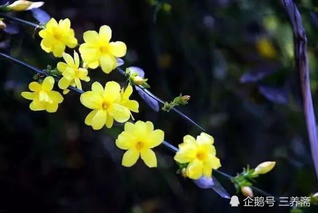 无论什么时候,学习都有好处--师旷论学带给我们