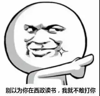 西政 下定决心要你了之后 你是这样的 嘻嘻嘻来打我呀 我至少还有