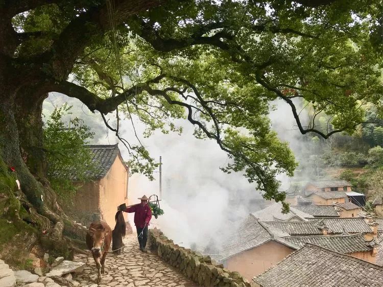 △台湾摄影家交流协会在我县传统古村落三都乡杨家堂村摄影采风创作.