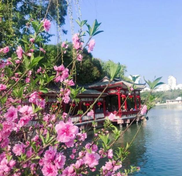 福建气温狂飙 下周最高温预计达27℃
