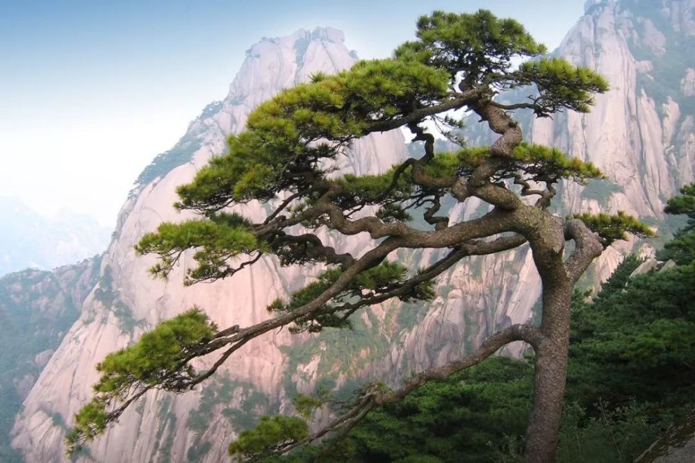 黄山北海景区散花坞的著名景点"梦笔生花",孤立石峰形同朝上的毛笔