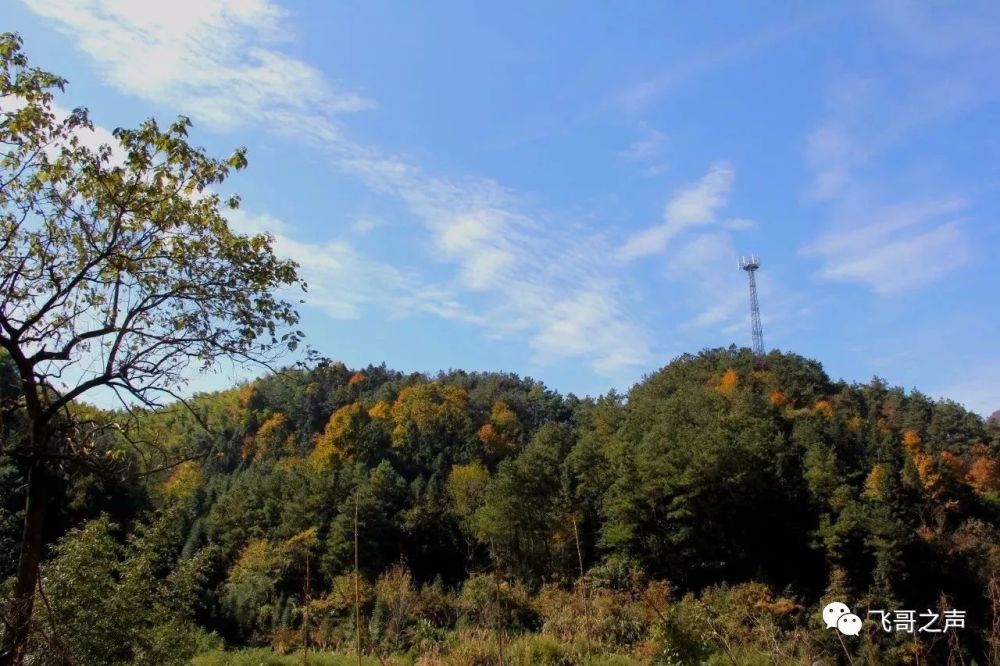 安徽金寨马鬃岭风景区之群山秋景-飞哥摄影