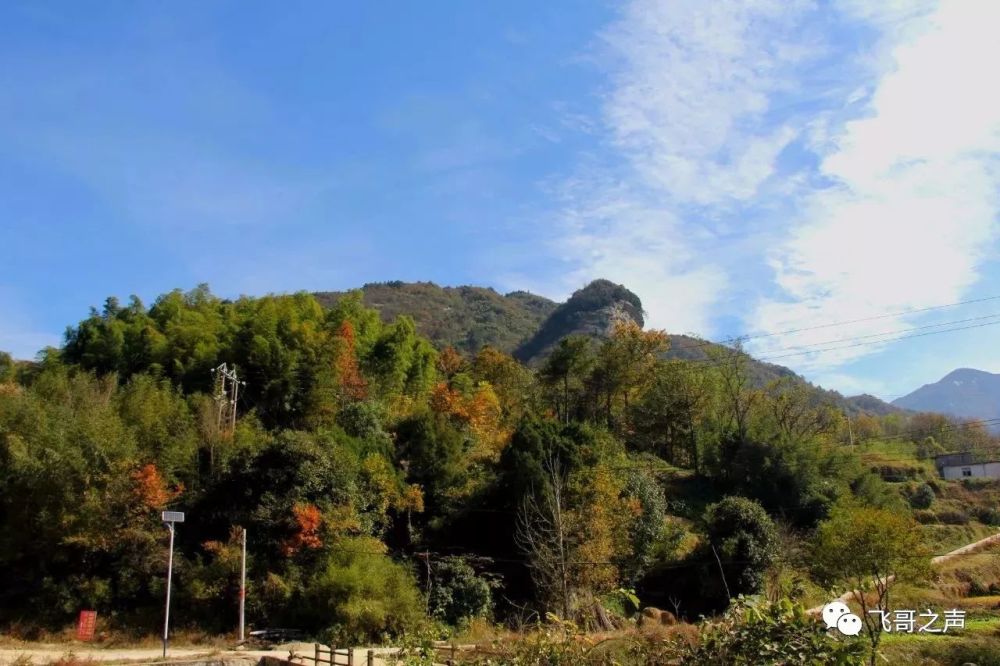 安徽金寨马鬃岭风景区之群山秋景-飞哥摄影