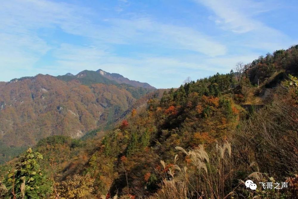 安徽金寨马鬃岭风景区之群山秋景-飞哥摄影