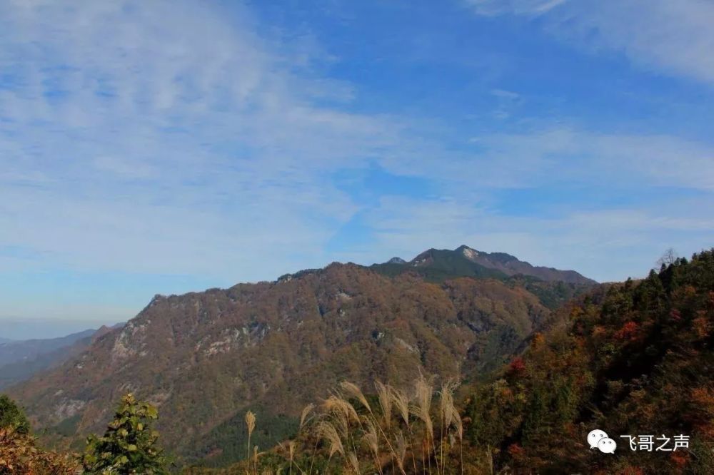 安徽金寨马鬃岭风景区之群山秋景-飞哥摄影