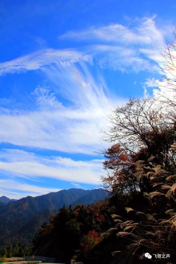 安徽金寨马鬃岭风景区之群山秋景-飞哥摄影