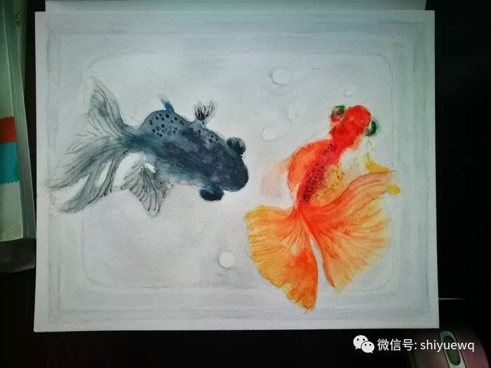 水彩画教程:小金鱼