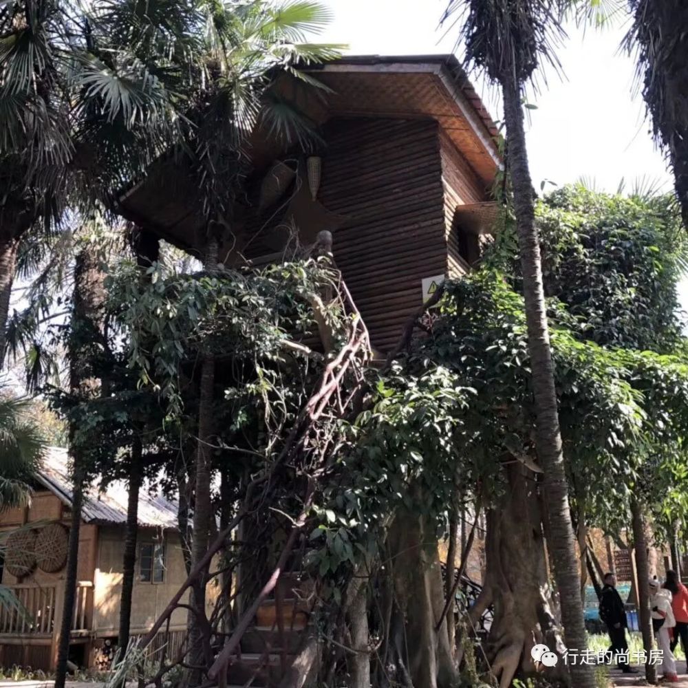 行走的尚书房学生寒假旅行日志分享