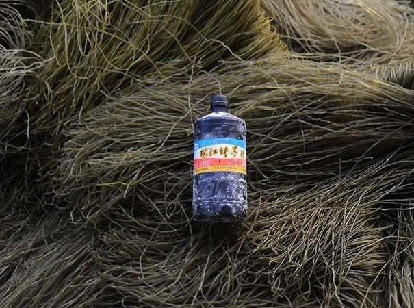 人口纯流入_大理人口流入量图片(3)
