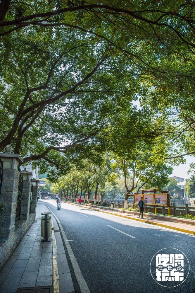 花一天时间,去走遍长沙最美的几条街吧