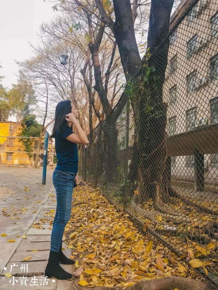 找一个人,陪我去华师,看最美的金色落叶雨!