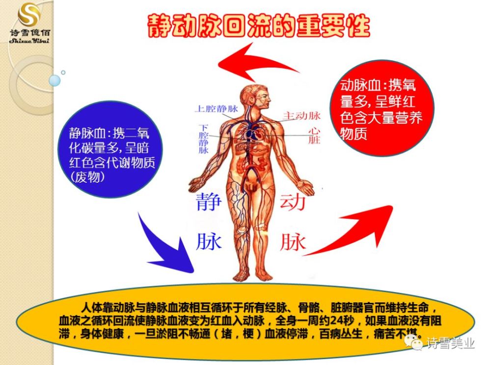 人体本无病,只有淤和堵,疏通微循环就这几招!