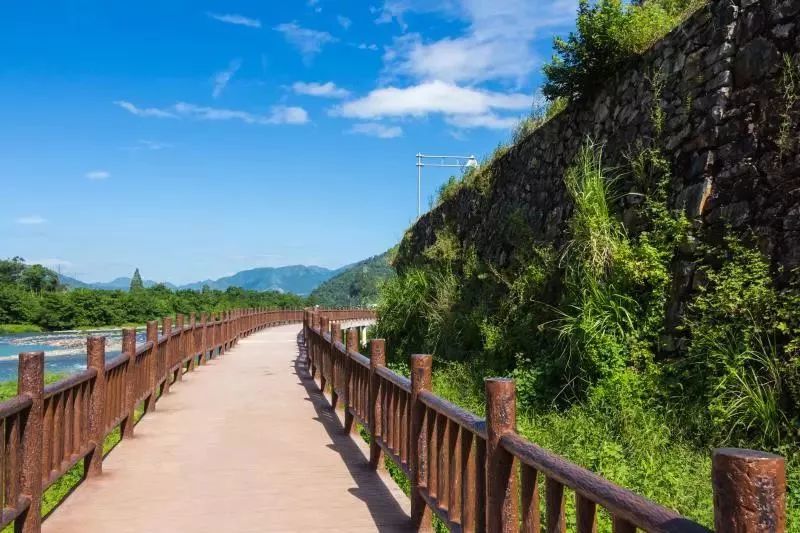 骑行,平阳县,绿道,美景,青街,西湾