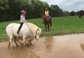 搞笑gif趣图:看家护院什么的,养一只喵星人就够咯